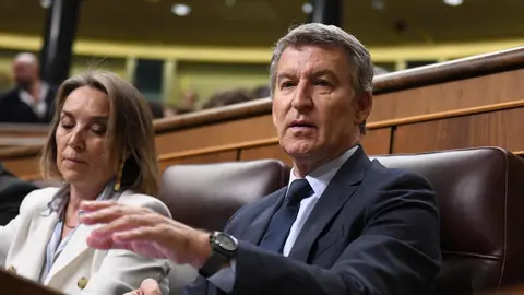 El l&iacute;der del Partido Popular, Alberto N&uacute;&ntilde;ez Feij&oacute;o, en su esca&ntilde;o en el Congreso de los Diputados