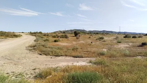 Yacimiento en Totana