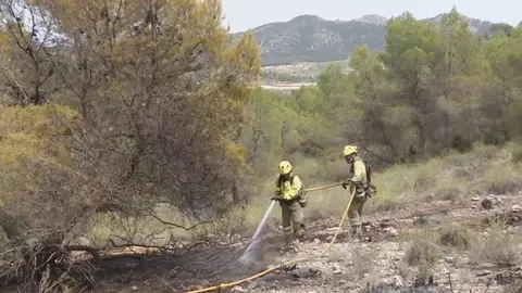 Bomberos trabajando en un incendio forestal