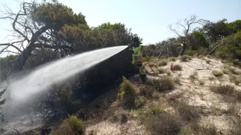 Incendio en el Parque Regional de las Salinas de San Pedro del Pinatar | Foto: 112 Regi&oacute;n de Murcia