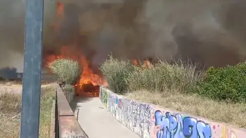Incendio de matorrales en La Alberca
