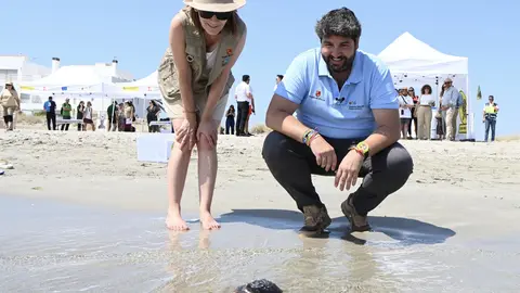 El presidente del Gobierno regional, Fernando L&oacute;pez Miras, participa en la suelta de 30 tortugas bobas en La Manga