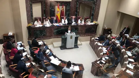 La portavoz del Grupo Parlamentario Socialista en la Asamblea, Carmina Fern&aacute;ndez, durante su intervenci&oacute;n en la segunda sesi&oacute;n del Debate del Estado de la Regi&oacute;n (foto: Agencias)