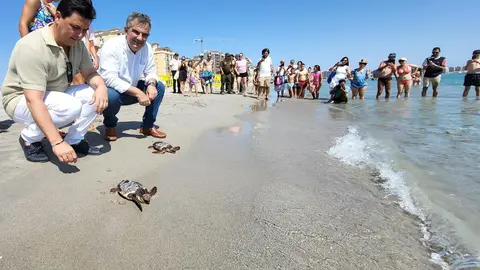 Ejemplares de Tortuga Boba liberadas en La Manga