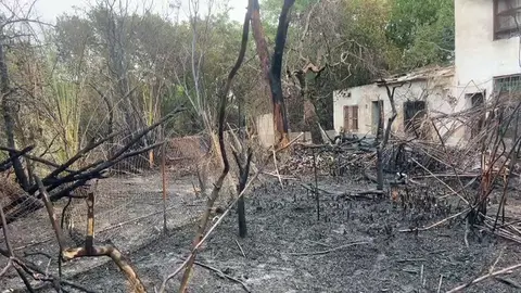 Incendio en una parcela de Joven Futura (foto: La 7)