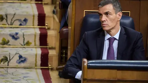 El presidente del Gobierno, Pedro S&aacute;nchez, en el Congreso