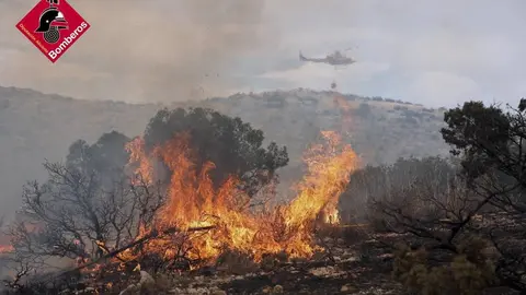 Incendio forestal