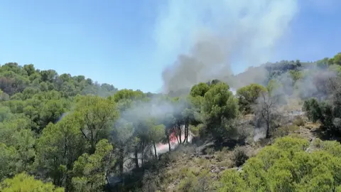 Incendio en Sierra Espu&ntilde;a (foto: 112)