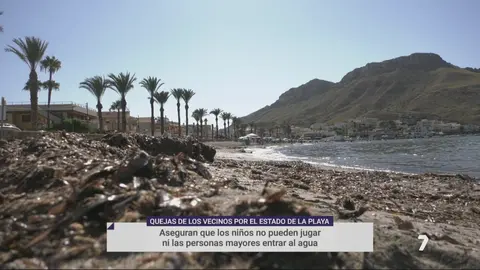 El mal estado de la playa de Calabardina (foto: La 7)
