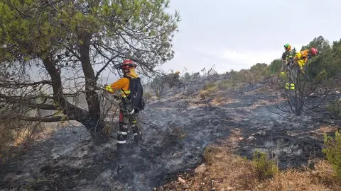 Imagen del incendio El Sabinar de Moratalla (foto: La 7)