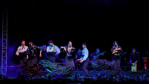 El espect&aacute;culo &lsquo;Mosaiko Flamenco&rsquo; (foto: Cante de las Minas)