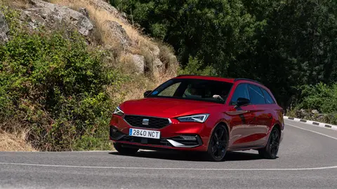 SEAT gama FR 75 Aniversario16