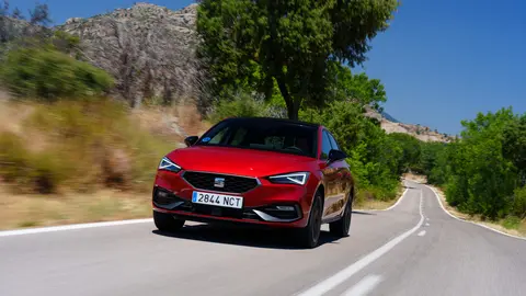 SEAT gama FR 75 Aniversario40