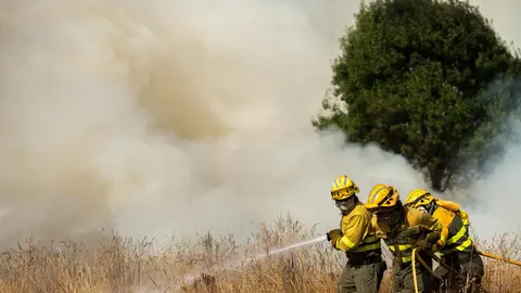 Los bomberos trabajan para extinguir uno de los incendios que se ha producido en Castilla y Le&oacute;n (foto: EP)