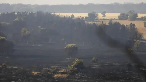 Tierra quemada en un monte entre Villal&iacute;s de la Valduerna y QUintana y Congosto, tras un incendio, a 13 de agosto de 2025, en Quintana y Congosto, Le&oacute;n, Castilla y Le&oacute;n,