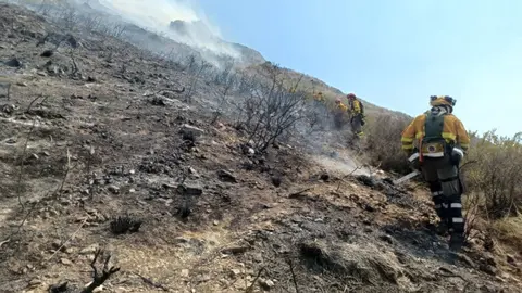 Labores de extinci&oacute;n del incendio forestal en las cuestas del Cedacero