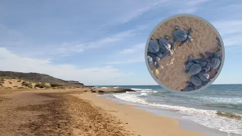Calblanque, en Cartagena (foto: La 7)