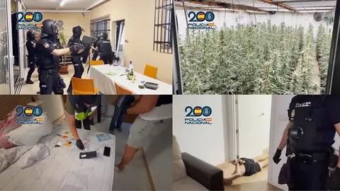 Im&aacute;genes de la operaci&oacute;n (foto: PN)