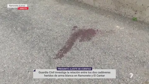 Lugar en el que la Guardia Civil encontr&oacute; a un ciudadanos de nacionalidad marroqu&iacute; en el interior del maletero de un veh&iacute;culo (foto: La 7)