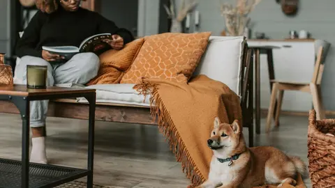 Cinco ideas f&aacute;ciles y efectivas para decorar tu casa en oto&ntilde;o