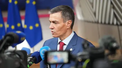 El presidente del Gobierno, Pedro S&aacute;nchez