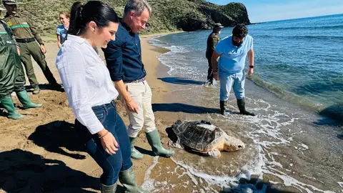 Momento de la puesta en libertad de la tortuga boba m&aacute;s grande registrada en la Regi&oacute;n de Murcia
- AYUNTAMIENTO DE LORCA