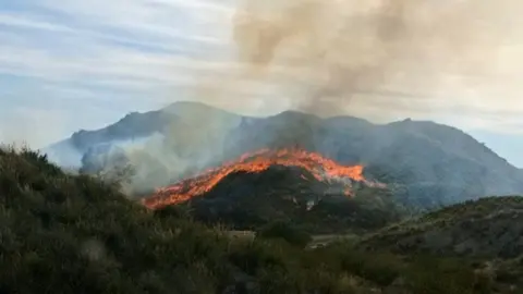 Incendio en un paraje de la pedan&iacute;a lorquina de Zarcilla de Ramos (foto: 112 Lorca)