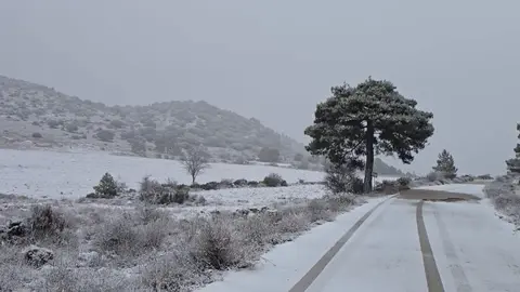 Nieve en Ca&ntilde;ada de la Cruz (Moratalla) (foto: Juanma Navarro)