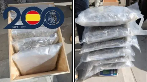 Detenidos dos hombres en Murcia por pretender enviar marihuana a Alemania por una empresa de paqueter&iacute;a (foto: PN)