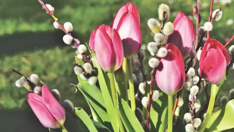 Flores que acompa&ntilde;an en los momentos dif&iacute;ciles