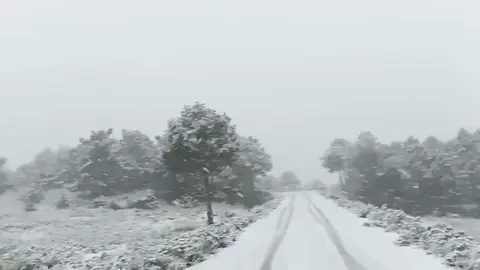 Cae nieve en Sierra Espu&ntilde;a este jueves 25 de diciembre, d&iacute;a de Navidad