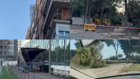 Incidentes provocados por el viento durante la tarde de este martes 27 de enero en la Regi&oacute;n (foto: La 7)