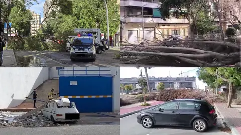El intenso viento de este mi&eacute;rcoles provoca varios incidentes en la Regi&oacute;n de Murcia (foto: La 7)