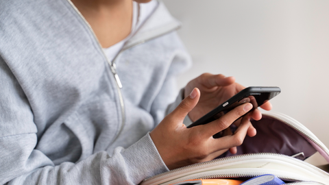 Microaprendizaje: c&oacute;mo aprender eficazmente en poco tiempo<br>                        <br>                        <br>                      