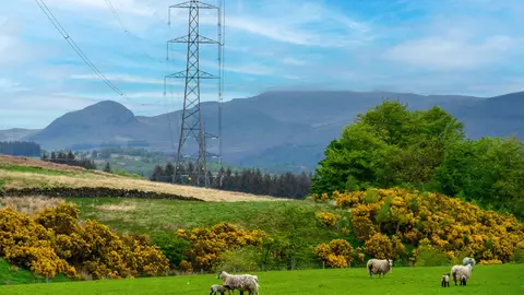 La electricidad distribuida por Iberdrola creció un 7,5% en 2025 por la mayor demanda y la electrificacion