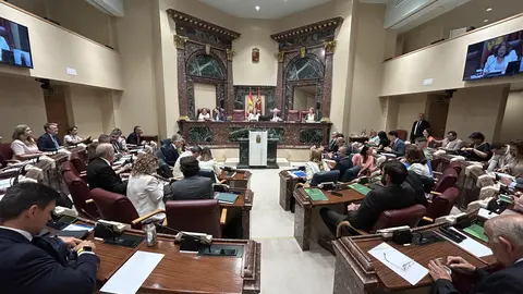 Archivo - La Asamblea Regional en una imagen de Archivo
- ASAMBLEA REGIONAL - Archivo