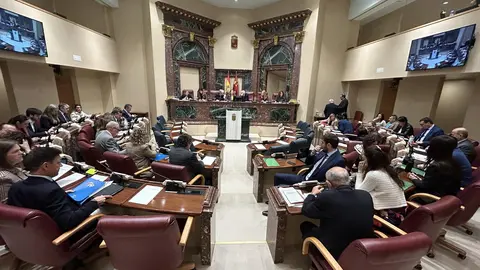 Pleno de la Asamblea Regional