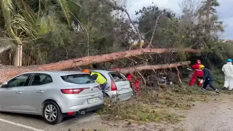 El viento causa estragos en la Region