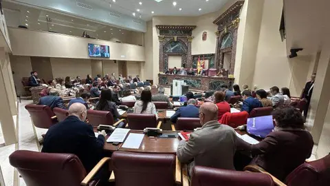 El Pleno de la Asamblea Regional aprueba una Declaraci&oacute;n Institucional de apoyo a los trabajadores de SABIC