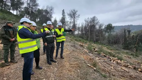 El consejero de Medio Ambiente, Universidades, Investigaci&oacute;n y Mar Menor, Juan Mar&iacute;a V&aacute;zquez, visit&oacute; a primeros de mes las actuaciones de prevenci&oacute;n de incendios y de lucha contra el decaimiento forestal en el Puerto de la Cadena.