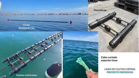 Sucesos.- Desaparece una l&iacute;nea experimental de cultivo de ostra del proyecto REMEDIOS en el Mar Menor
- IEO