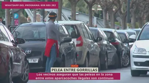 Gorrilla en el barrio murciano de El Carmen | Imagen: Murcia Conecta