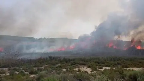 Un incendio de ca&ntilde;as y matorral calcina 8.000 metros cuadrados en Villanueva del R&iacute;o Segura (foto: Bomberos CEIS)