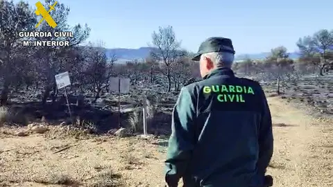 Guardia Civil en la zona del incendio
