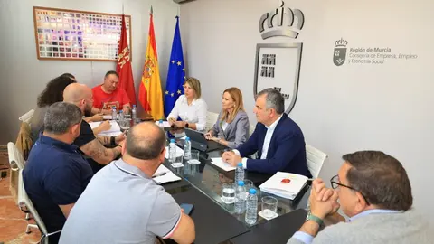 Mesa de trabajo del Gobierno regional, Ayuntamiento de Cartagena y el comit&eacute; de empresa de Sabic