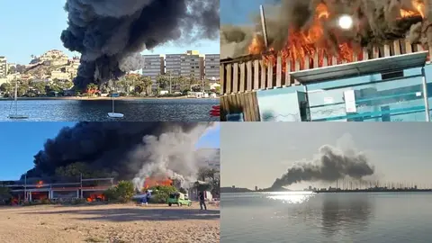 Un incendio en el ZM Isla del Ciervo genera una gran columna de humo visible a varios kil&oacute;metros (foto: La 7)