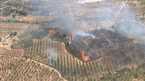 Incendio forestal en Lorca