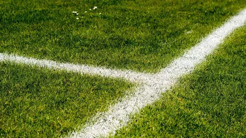 Mundial 2026 en EE. UU.: todo lo que necesitas tener listo si vas a cruzar el charco