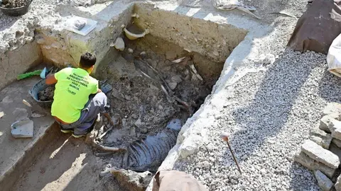 Nuevos hallazgos arqueol&oacute;gicos en el yacimiento de San Esteban (foto: CARM)