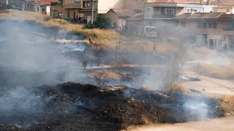 Incendio forestal en Los Garres y Lages